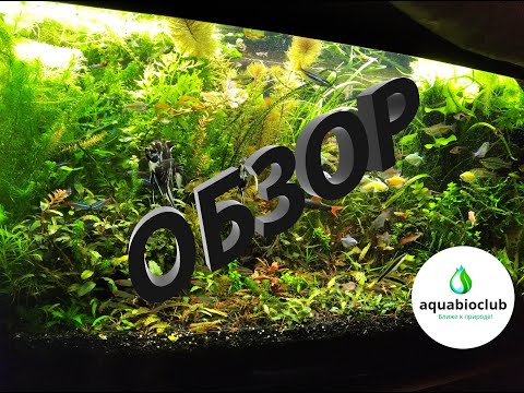 Видео: #Обзор #аквариума 260 л. 14 месяцев без #подмен.