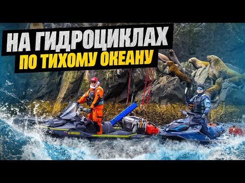 Видео: 20 сентября 2025 г.