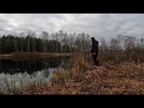 Видео: РЫБАЛКА НА ПОПЛАВОЧНУЮ УДОЧКУ В НОЯБРЕ