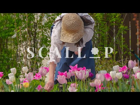 Видео: Ты чувствуешь рай? 🌸 Таволга, тюльпаны и новые розы