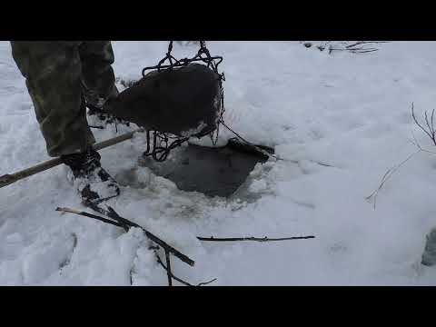 Видео: Ставлю и проверяю капканы на бобра зимой под лед.  beaver hunting.