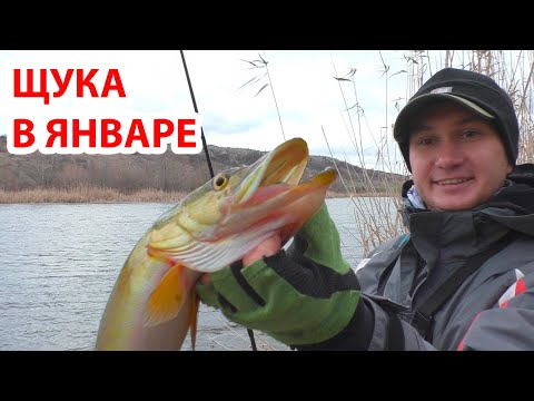 Видео: Ловля щуки и окуня на джиг в январе , зимняя рыбалка