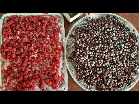 Видео: как заморозить малину и смородину💯👍. QISHGA MALINA SMORODINA MUZLATISH🥰raspberries and currants