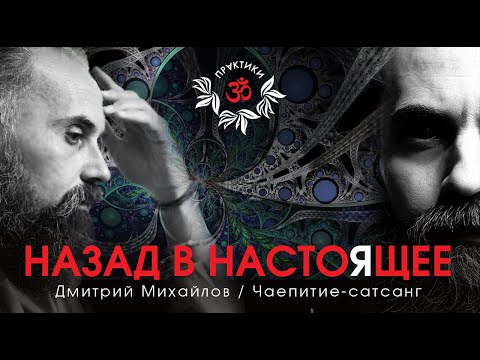 Видео: Дмитрий Михайлов. НАЗАД В НАСТОЯЩЕЕ. Сатсанг.