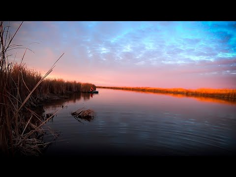 Видео: Осенний выезд на реку Куланотпес с  каналом @kleviy_souz