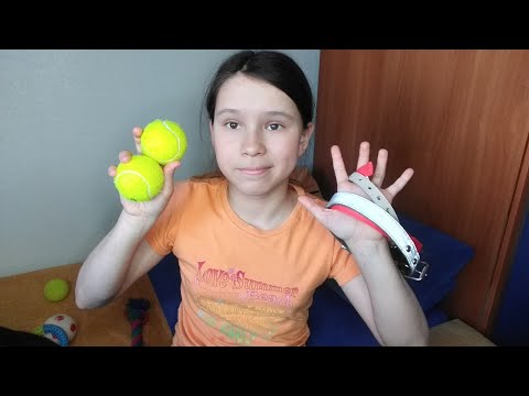 Видео: Вся амуниция и игрушки моей собаки||🐺🐕