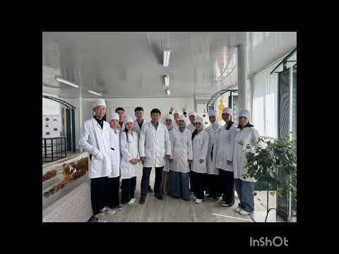 Видео: 13 ноября 2024 г.