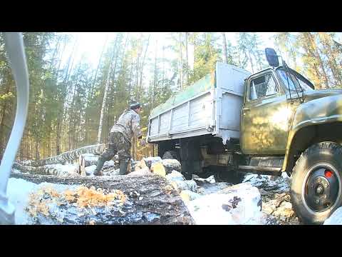 Видео: Продолжаем заготовку дров,9№ немного трелёвки леса, на газ 53