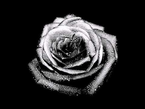 Видео: Жинжин ТАК ЛЕГКО