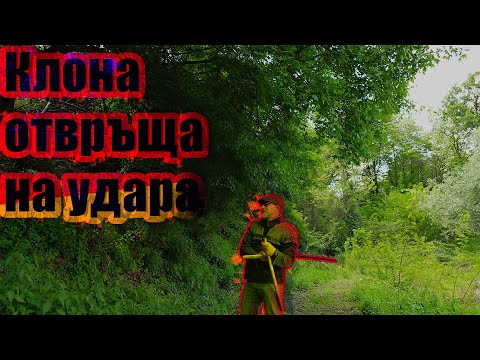 Видео: Никога не е късно да станеш за резил