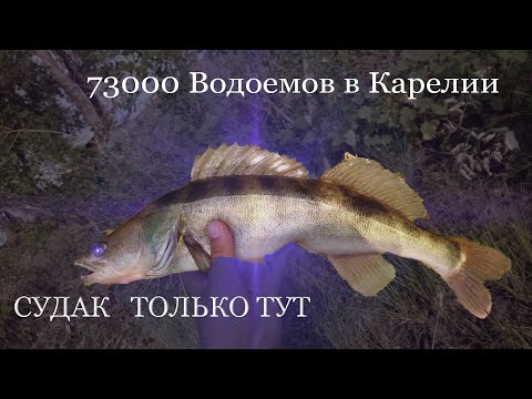 Видео: Карелия Сумозеро