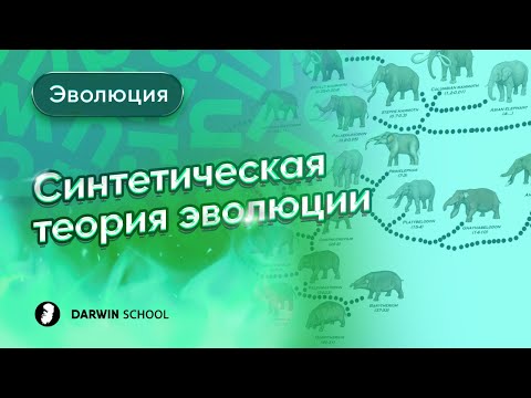 Видео: Теория. Синтетическая теория эволюции