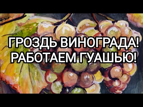 Видео: ГРОЗДЬ ВИНОГРАДА! РАБОТАЕМ ГУАШЬЮ! 