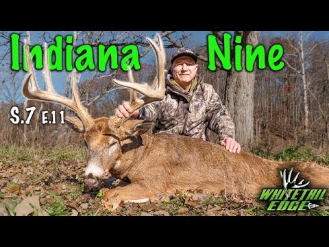 Видео: GIANT Indiana 9 Points — история длиной в 2 года подходит к концу