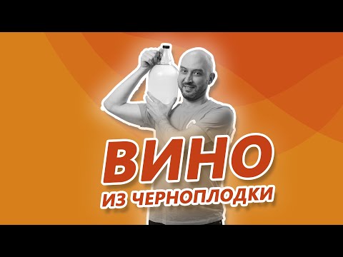 Видео: Как сделать домашнее вино из черноплодки на диких дрожжах