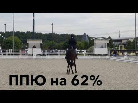 Видео: Предварительный приз Юноши (ППЮ) на 62%