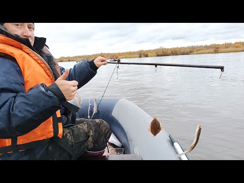 Видео: КАМБАЛА 2024,сезон открыт!!!