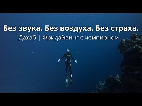 Видео: НЫРЯЮ В ДАХАБЕ - ФРИДАЙВИНГ, КОТОРЫЙ МЕНЯ ИЗМЕНИЛ