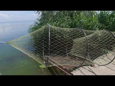 Видео: ТОЛЬКО КРУПНАЯ РЫБА. ВЕНТЕРЬ МЕЧТЫ).