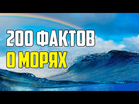 Видео: 200 ИНТЕРЕСНЫХ ФАКТОВ О МОРЯХ