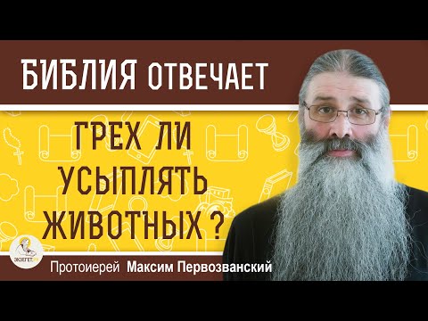 Видео: Грех ли УСЫПЛЯТЬ ЖИВОТНЫХ ? Протоиерей Максим Первозванский
