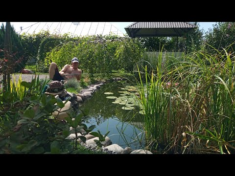 Видео: 🎣 Карась з домашнього ставка. Наловив, пожарив, з'їли 🤪 Очищення води.