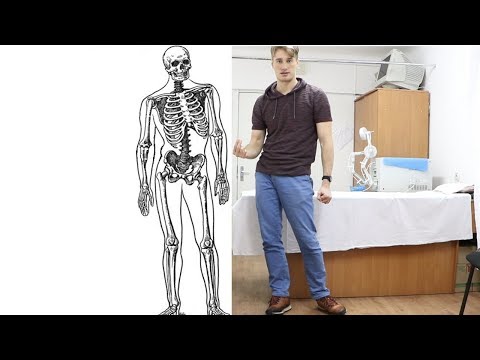 Видео: Таз и осанка (идиопатический сколиоз) КАК вылечится ?