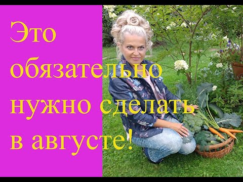 Видео: Что нужно сделать в саду в августе