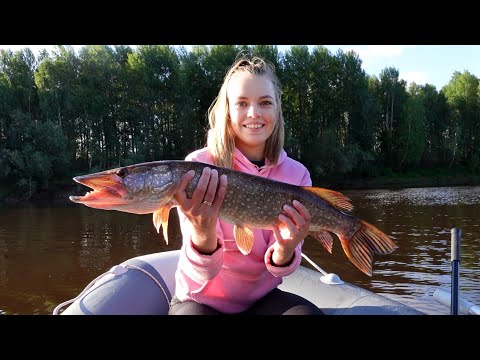 Видео: РЫБАЛКА НА СЕВЕРНОМ УРАЛЕ. Ловим щук и окуней на спиннинг с лодки. Рыбалка на реке Лозьва.