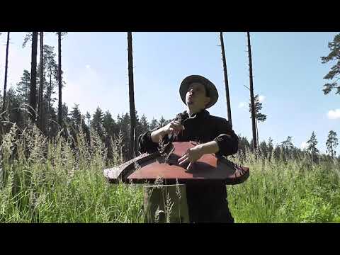 Видео: Ах ты, степь широкая Песня под Гусли / Гусляр Андрей Андреев 2020 г.