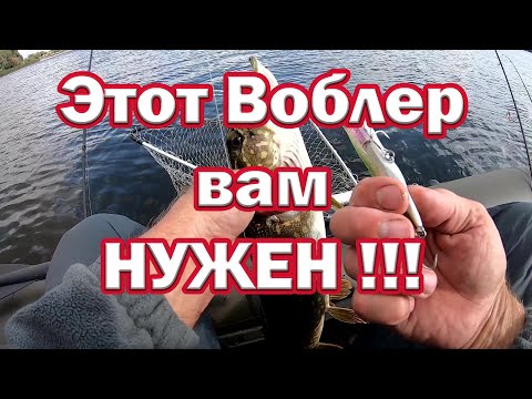 Видео: Этот воблер Вам НУЖЕН! На него клюёт когда другие молчат! Каната от D1 Клюёт не хуже чем на японца!