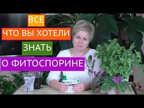 Видео: ГЛАВНЫЙ ПОМОЩНИК В САДОВОДСТВЕ И ЦВЕТОВОДСТВЕ - ФИТОСПОРИН! КАК И КОГДА ПРИМЕНЯТЬ!