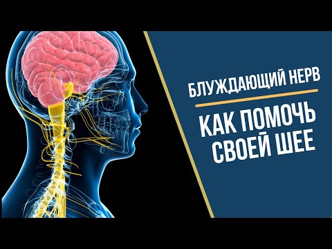 Видео: Блуждающий нерв: Урок Стенли Розенберга, который изменит вашу шею!