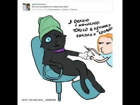 Видео: озвучка мемов по котам воителям [4часть]