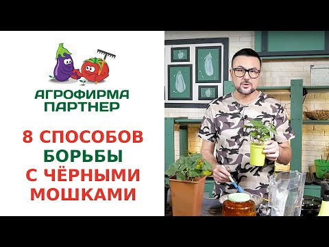 Видео: 8 СПОСОБОВ БОРЬБЫ С ЧЁРНЫМИ МОШКАМИ