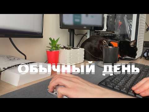 Видео: спокойный рабочий день из дома / гуляю с котом, тихий влог