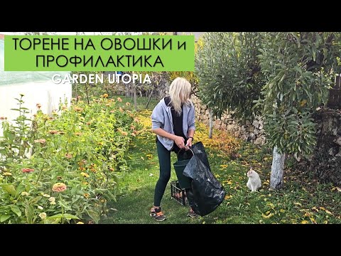 Видео: Борба със ЗЛАТКА, ТОРЕНЕ на ОВОШКИ: #Ден 55 от 90 ДНИ НА СЕЛО