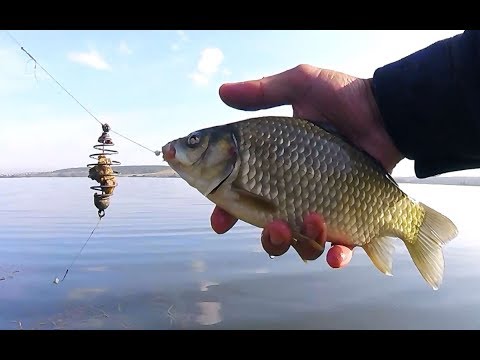 Видео: Весело ловим карасей на пенопласт в Беловском водохранилище