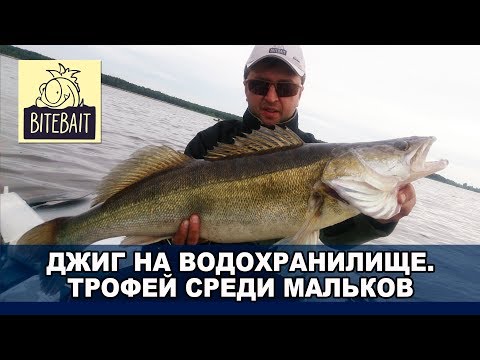 Видео: ТРОФЕЙНЫЙ СУДАК НА ДЖИГ с лодки в завале коряжника. Джиг на водохранилище. Aspro 782ml