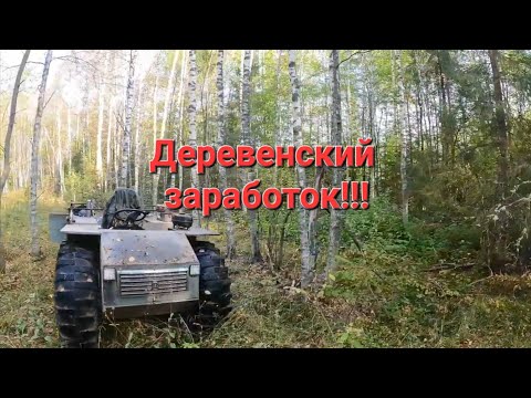 Видео: Съездили с братом в лес на дело,заработали денег.