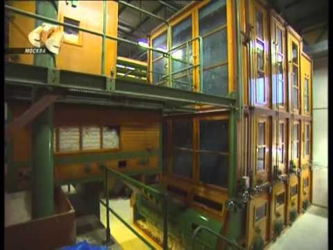 Видео: Галилео 19 серия