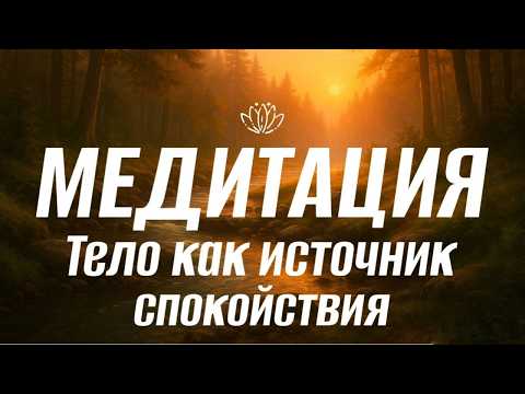 Видео: Тело как источник спокойствия