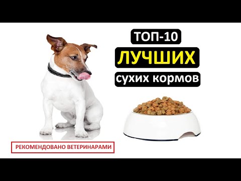 Видео: ТОП-10 лучших сухих кормов для собак | Совет ветеринара