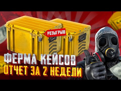 Видео: ФЕРМА КС2. СКОЛЬКО Я ЗАРАБОТАЛ С 93 АККАУНТОВ ЗА 2 НЕДЕЛИ ФАРМА? +РОЗЫГРЫШ