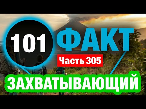 Видео: 101 Великолепный Факт Который Вас Удивит