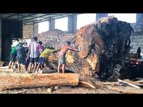 Видео: Какой драматический процесс! Супер крутая и захватывающая гигантская лесопилка по производству тамар