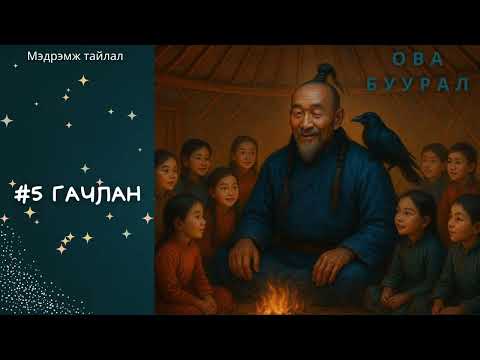 Видео: Зөв үү? Тав уу? Мэдрэмж тайлал: Гачилан
