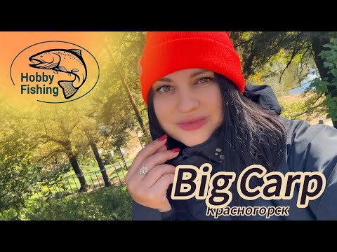 Видео: Рыбалка на форель. Красногорск. Big Carp