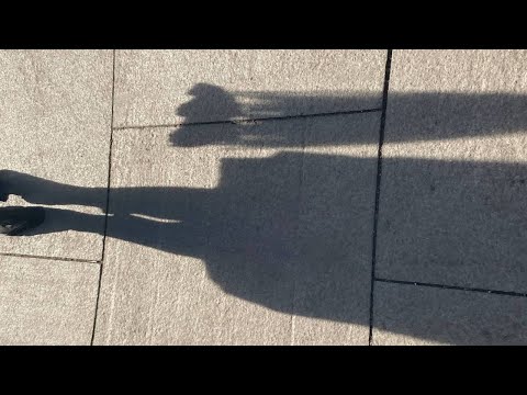 Видео: весеннее шатание🕶️
