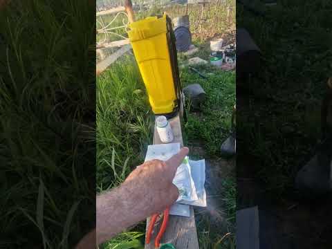 Видео: касалии дарахтҳои бодом, зардолу, нок, гелос, себ, шафтолу ва ғайра ва табобати он.